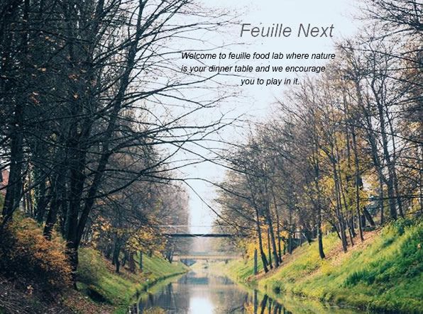 Welcome to feuille food lab where nature is your dinner table and we encourage you to play in it.